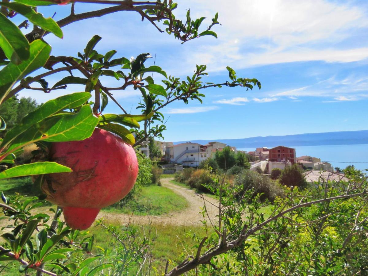 Holiday Home Jozo Omis Bagian luar foto